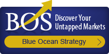 Blue Ocean Strategy Consulting